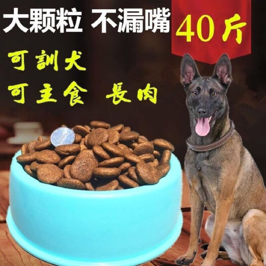 鹿寨县宠物饲料 狗粮