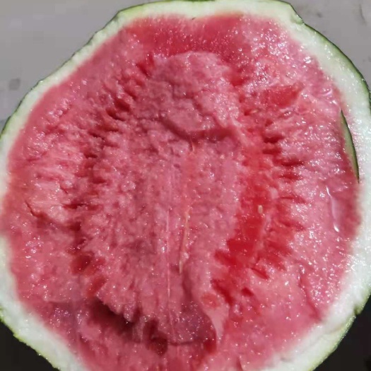 柘城县黑皮西瓜  精品一级黑无籽 自生苗  一茬瓜  糖度高  瓜型好