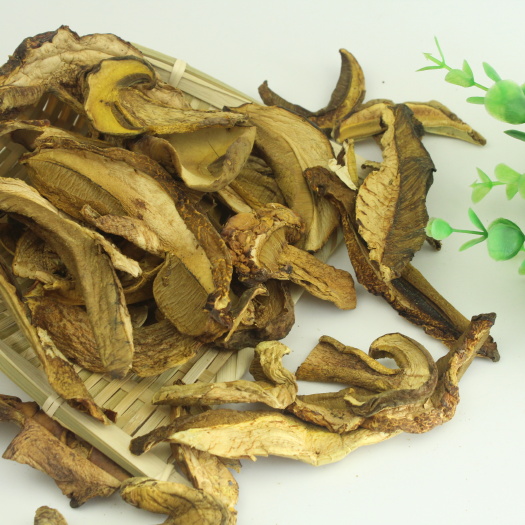 昆明云南野生牛肝菌黄赖头牛肝菌