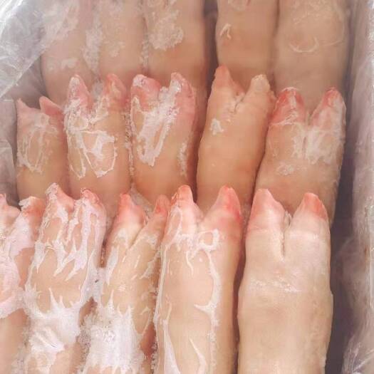 沂南县猪蹄筋  一级带筋蹄