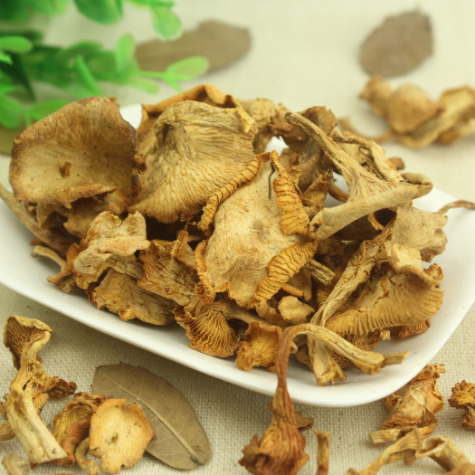 昆明 云南野生菌鸡油菌