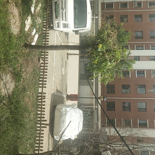 呼和浩特農(nóng)用動力車租賃 面包車租賃