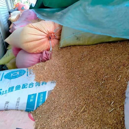 息县红麦 2021年优质小麦