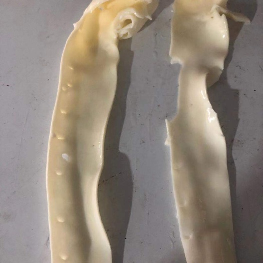 重庆市火锅冒菜凉菜水发猪黄喉，口感爽脆，火锅专用