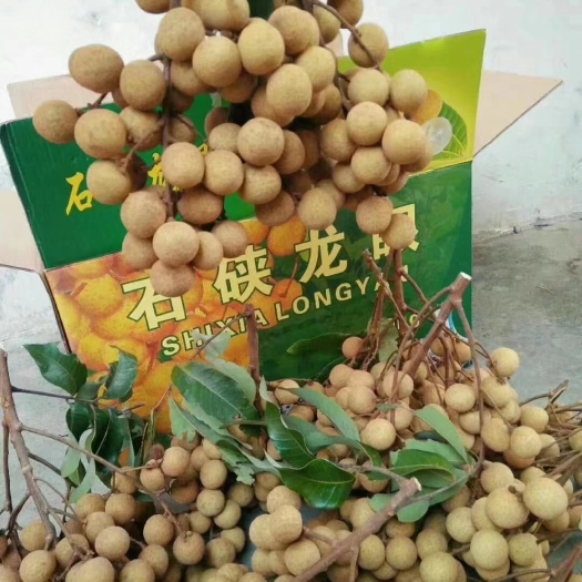 桂平市龙眼 广西壮族自治区贵港市桂平市 