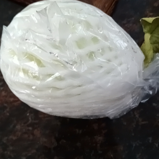 博罗县 珍珠番石榴