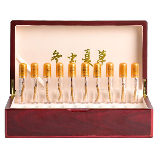 西宁 冬虫夏草
