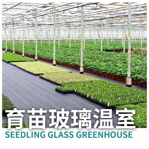 石家庄玻璃温室 温室大棚