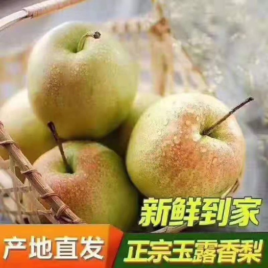 隰县【一件代发】香梨  玉露香梨  隰县玉露香梨   山西香梨