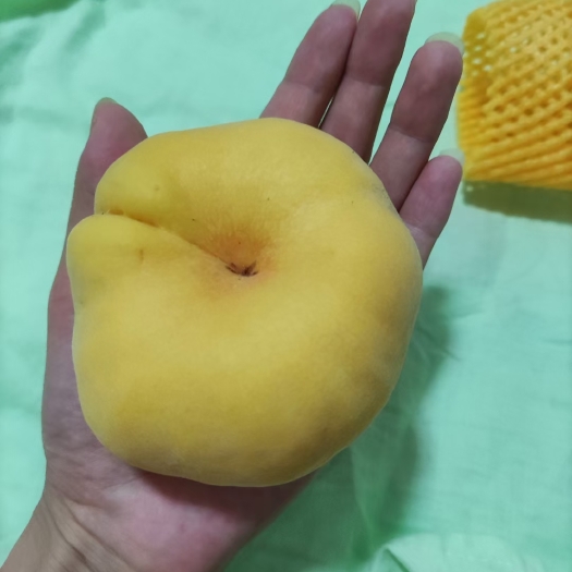 黄蟠桃  山上的蟠桃 甜不释手