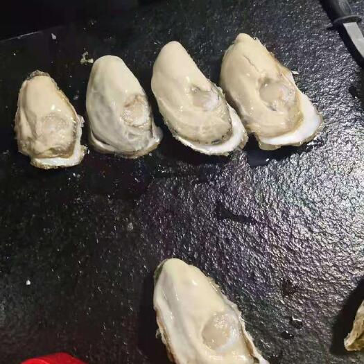 乳山市牡蛎 乳山生蚝产地直销乳山基地直供乳山生蚝质量有保证！