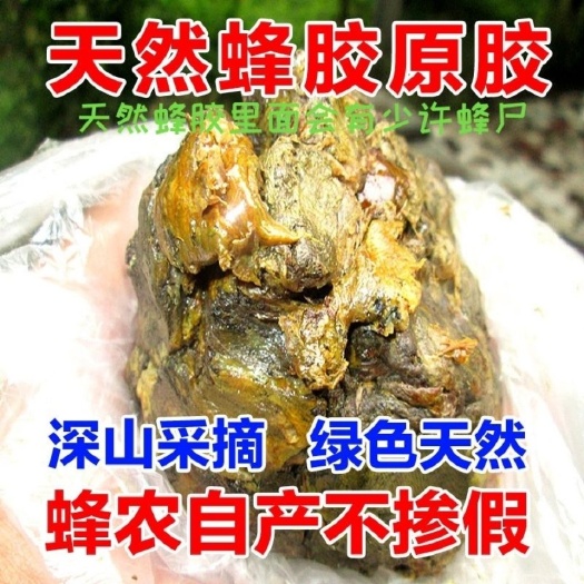 亳州【假一罚十】蜂胶原胶纯正天然未加工毛胶块蜂农自产直销蜂胶