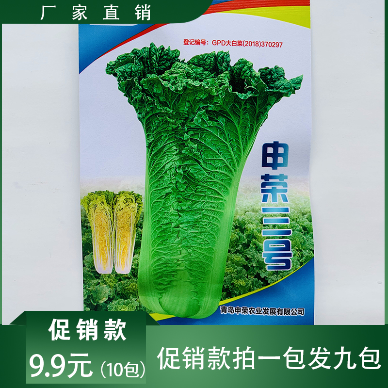 沭阳县青麻叶白菜种子  青麻叶白菜草种子包邮优质品种味道鲜美种植基