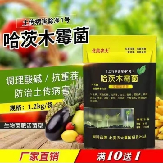 莱西市生物肥 哈茨木霉菌.根腐病.立枯病茎基腐枯黄萎病土传病.生物菌