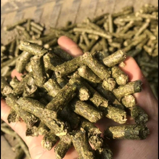 大同 羊饲料