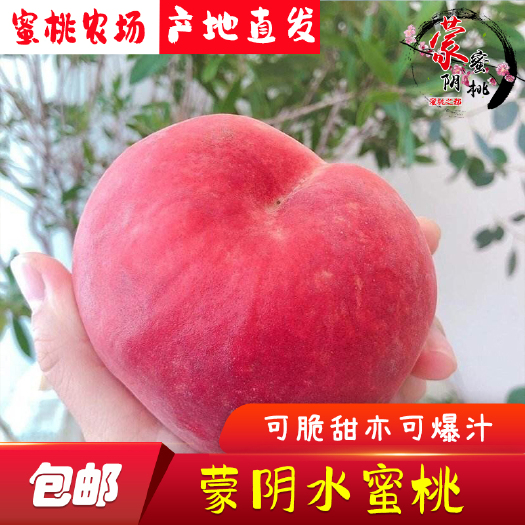 蒙阴县【水蜜桃】蒙阴蜜桃，产地代办，一件代发，原产地，可视频看货