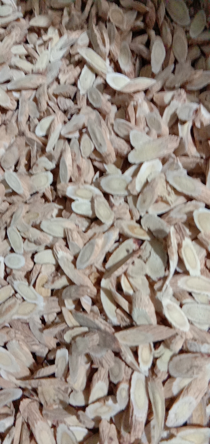 岷当归  (无硫)黄芪瓜子切片 0·8~1·0 cm
(免费寄样)