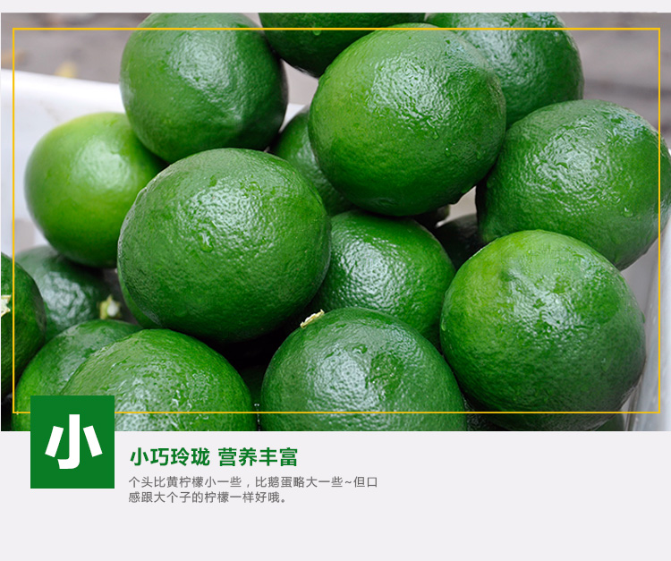 青柠檬新鲜万州青柠檬北京青有籽精选果对接各渠道批发一件代发