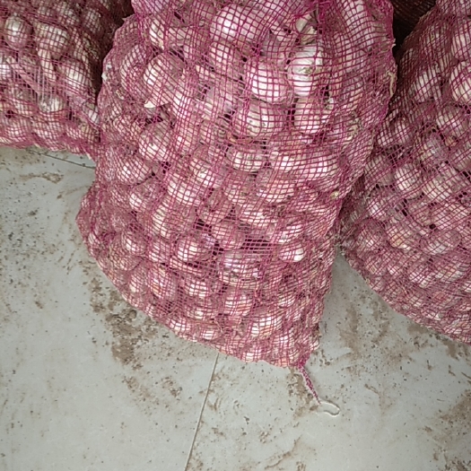 菏泽红皮蒜 山东红皮大蒜