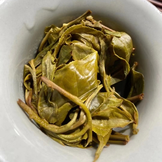 成都毛尖茶 茶叶