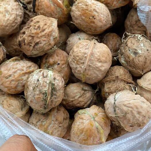 师宗县 青皮核桃个大皮薄，刨好的7块一斤，带皮的4块一斤