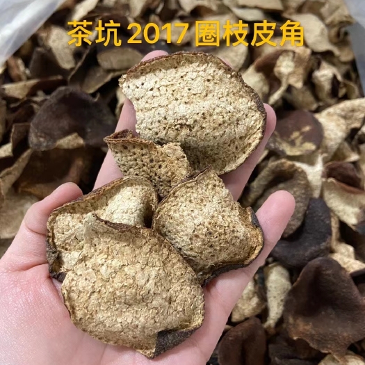 江门青见柑桔 2017年陈皮圈枝皮角