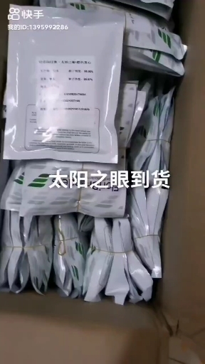 凌源市 向日葵
