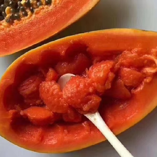 徐闻县<一级货 不甜退款>光皮木瓜 雷州木瓜一件代发 树上熟超甜