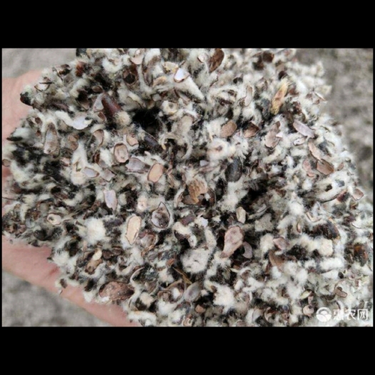 石河子市吨起批棉籽壳 新疆棉壳中壳中绒食用菌栽培原料、种植蘑菇
