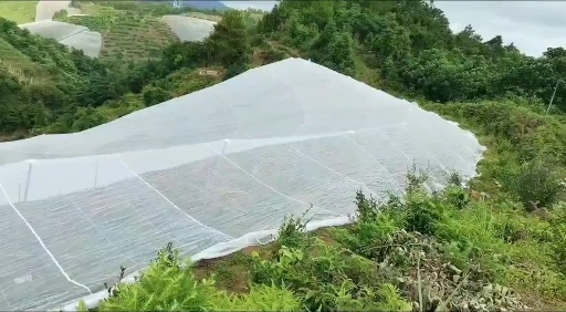 济南 防虫网，防虫网罩
