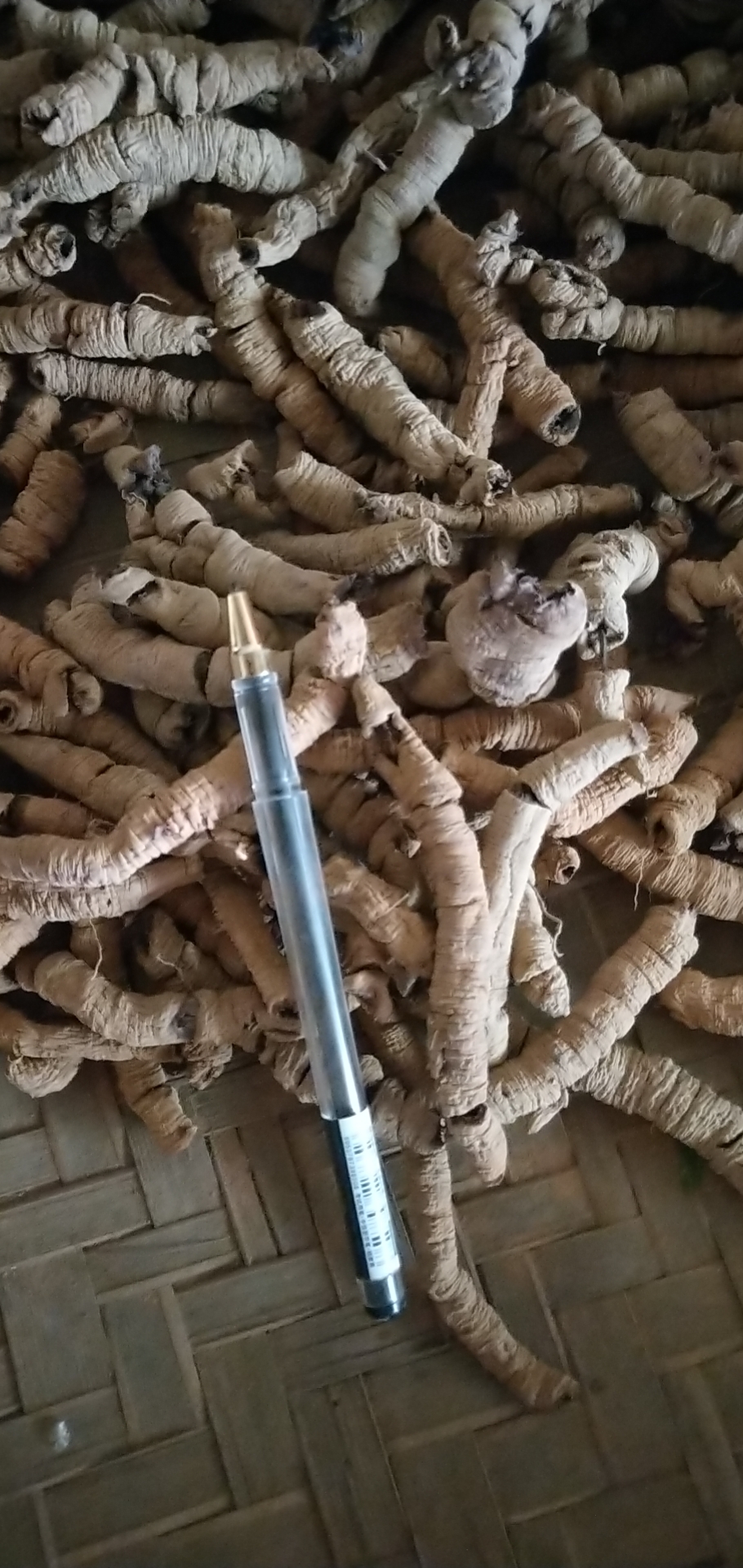 巴戟天 巴戟天 产地直销 熟巴戟天