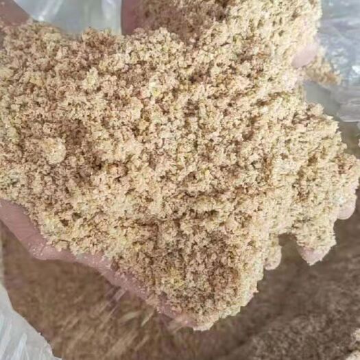 广州糟渣类饲料  豆腐渣 发酵好豆腐渣 一手货源 日产35吨