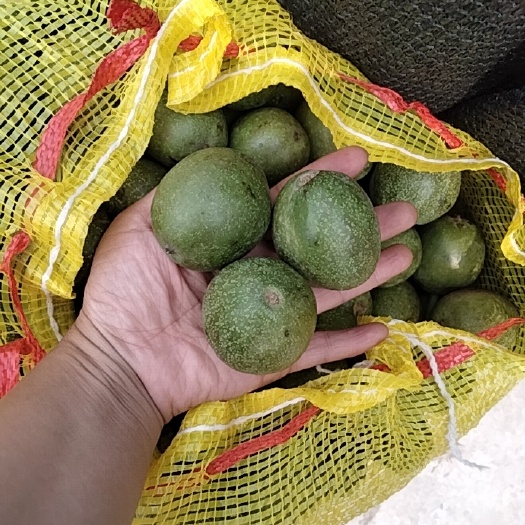 济南 山东 香菱薄皮核桃 个大 皮俺 肉香 甜而不涩