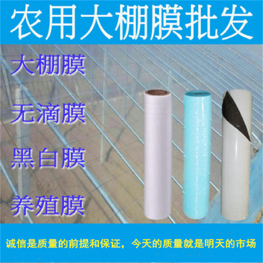 聊城避雨大棚薄膜 长寿流滴膜 抗老化棚膜 遮雨大棚膜【源头商家】