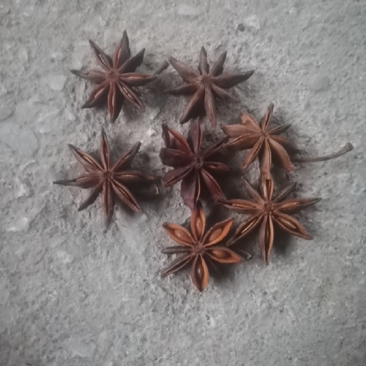 巴马县 广西新鲜大红八角，香味浓颜色正