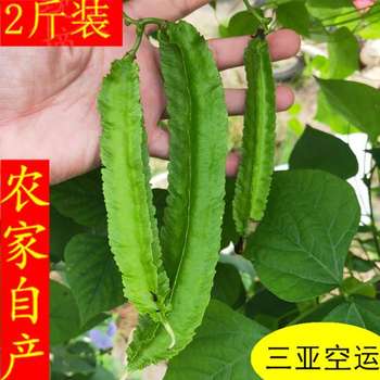 四棱豆 海南特产四凌，无公害绿色食品。