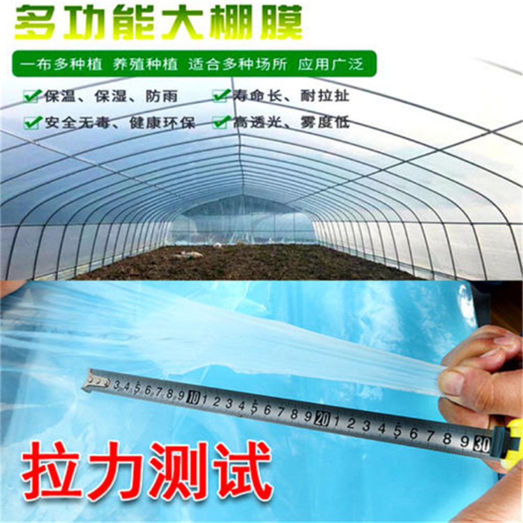 避雨大棚薄膜 长寿流滴膜 抗老化棚膜 遮雨大棚膜【源头商家】