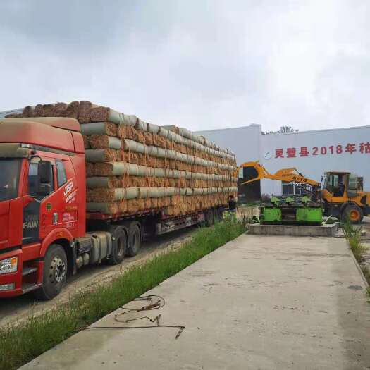 灵璧县 小麦秸秆饲料