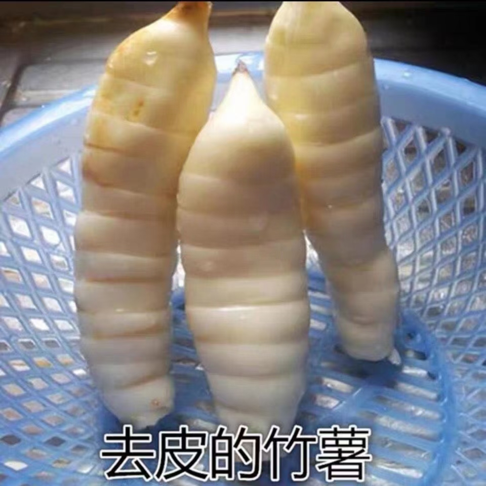 徐闻县 广东湛江特产新鲜竹薯冬薯菱薯竹芋薯竹根薯苓薯农家东京薯