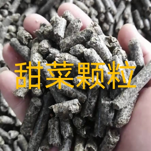 天津甜菜粕颗粒  埃及甜菜颗粒，国产甜菜颗粒