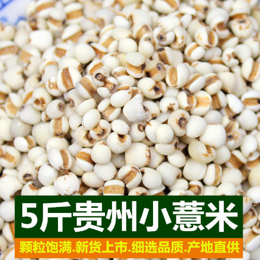 亳州新货贵州小薏米生薏仁薏仁米小薏米五谷杂粮批发