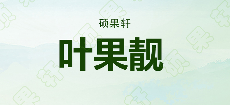  农用叶面肥叶果靓 快速膨大 增甜着色 膨大靓果 绿叶壮颗