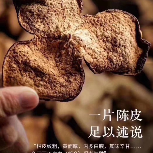 佛山新会中心产区陈皮