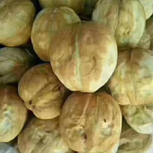 阿克苏市青皮核桃
