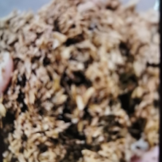 涟水县酒糟 鸡 鸭 鹅 猪 牛 羊 马 兔 鸽子 鱼 虾  鹌鹑 