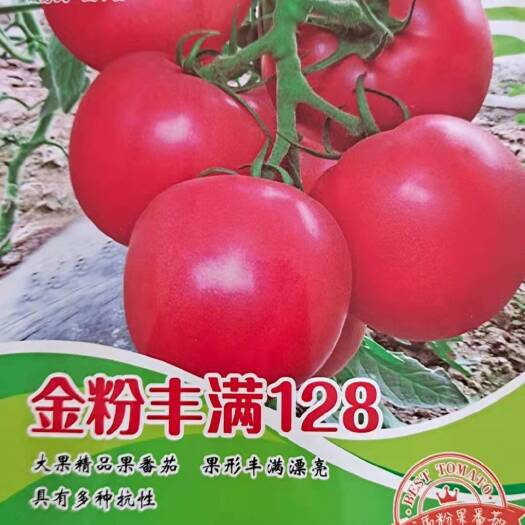 郑州抗病丰满128粉果番茄种子