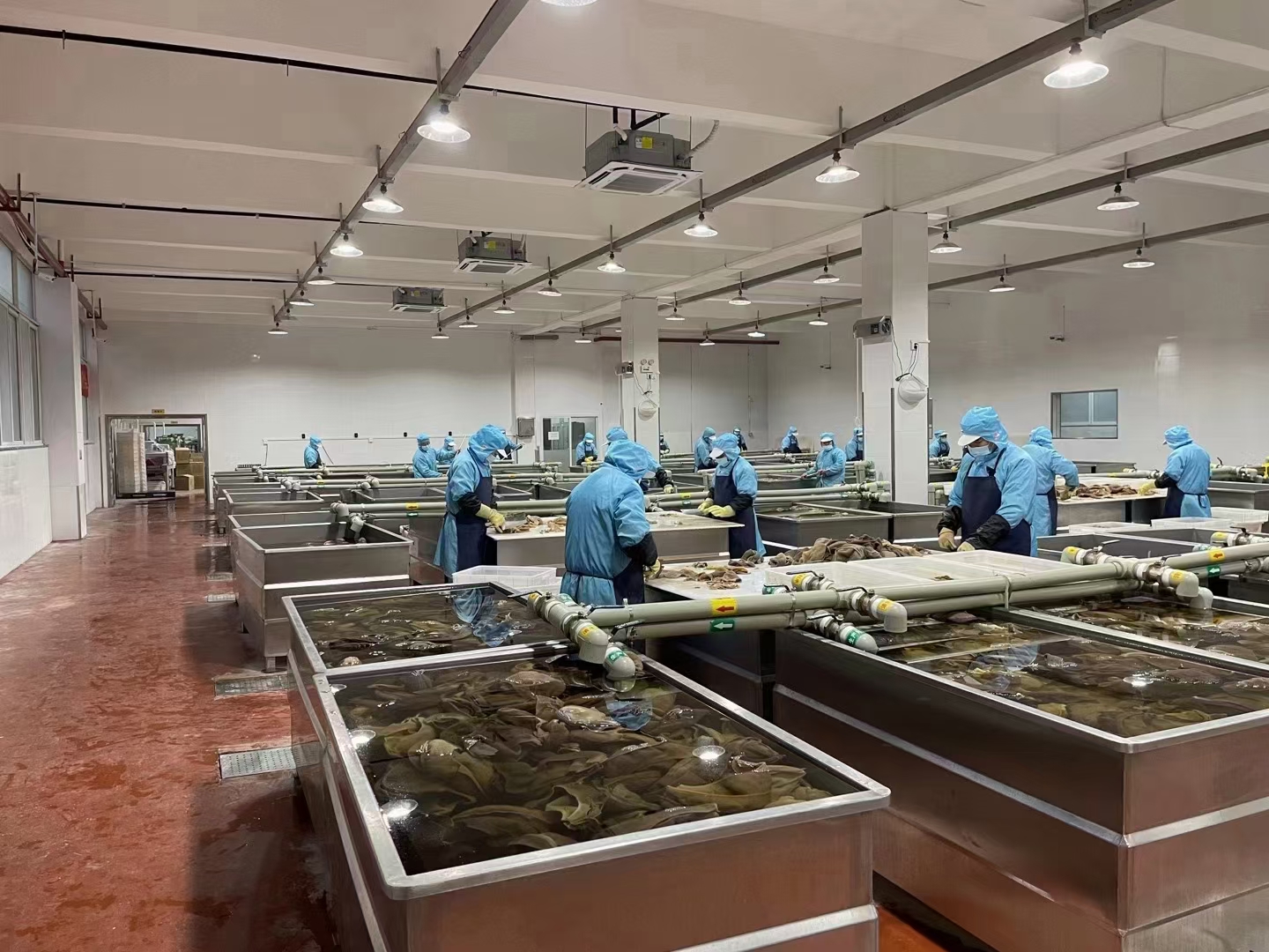 毛肚  渝宏炜食品有限公司是专业从事火锅食品系列生产与销售的