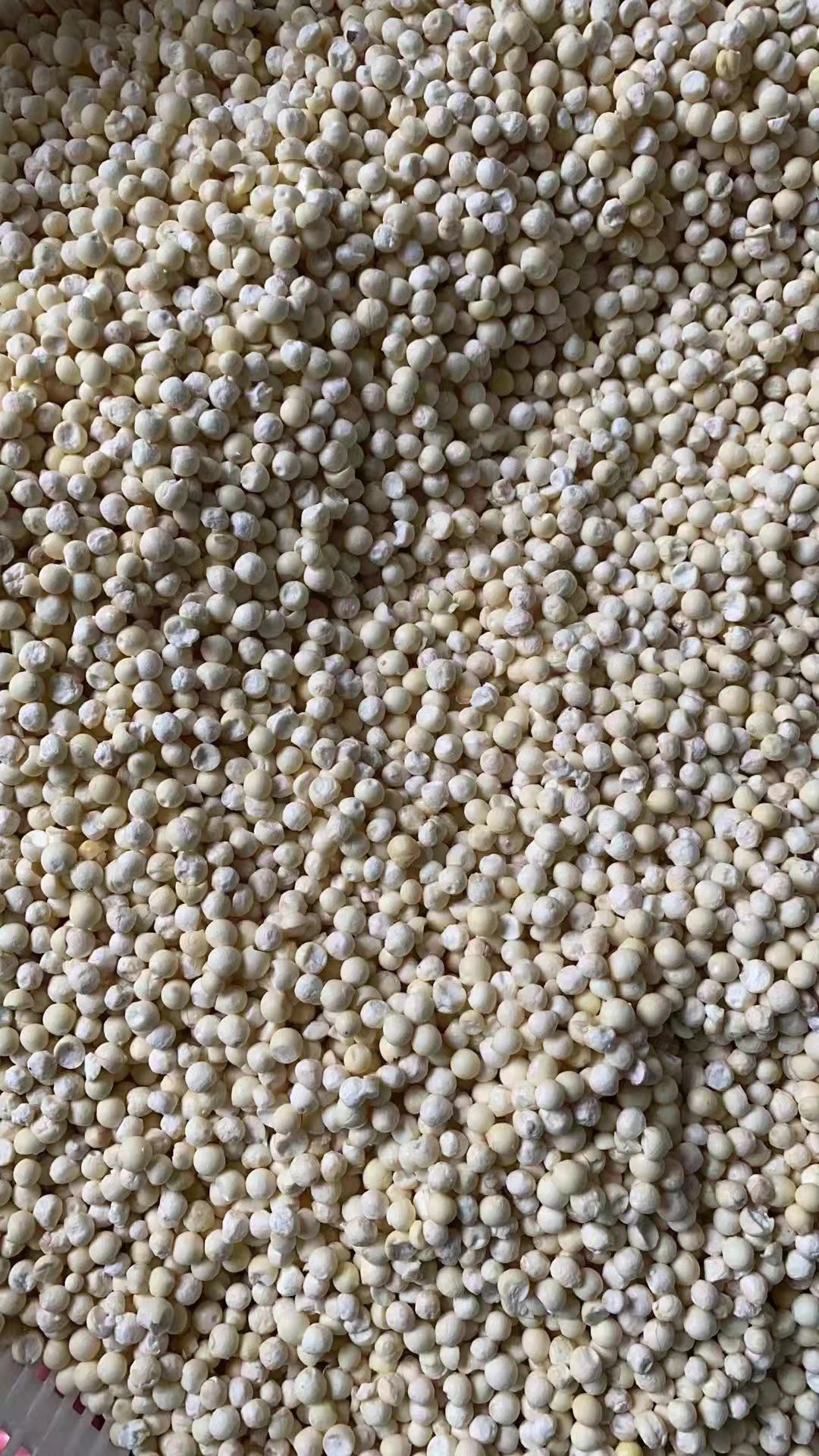 鲜芡实  鸡头米源头发货