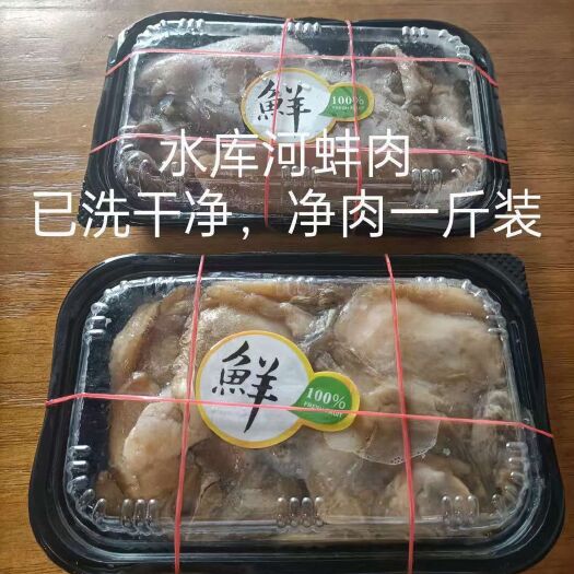 清远褶纹冠蚌  广东非养殖蚌肉，纯手工肉，