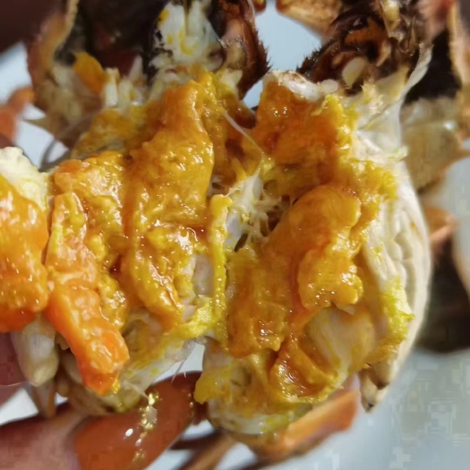 盘锦稻田蟹 盘锦，六月黄包肥，